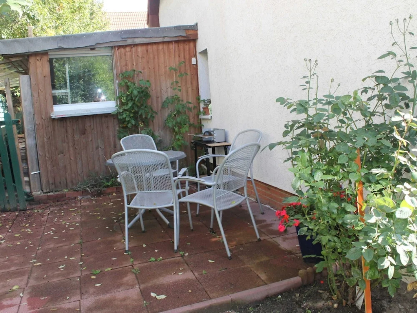 Eine Gemutliche Ferienwohnung in Wismar