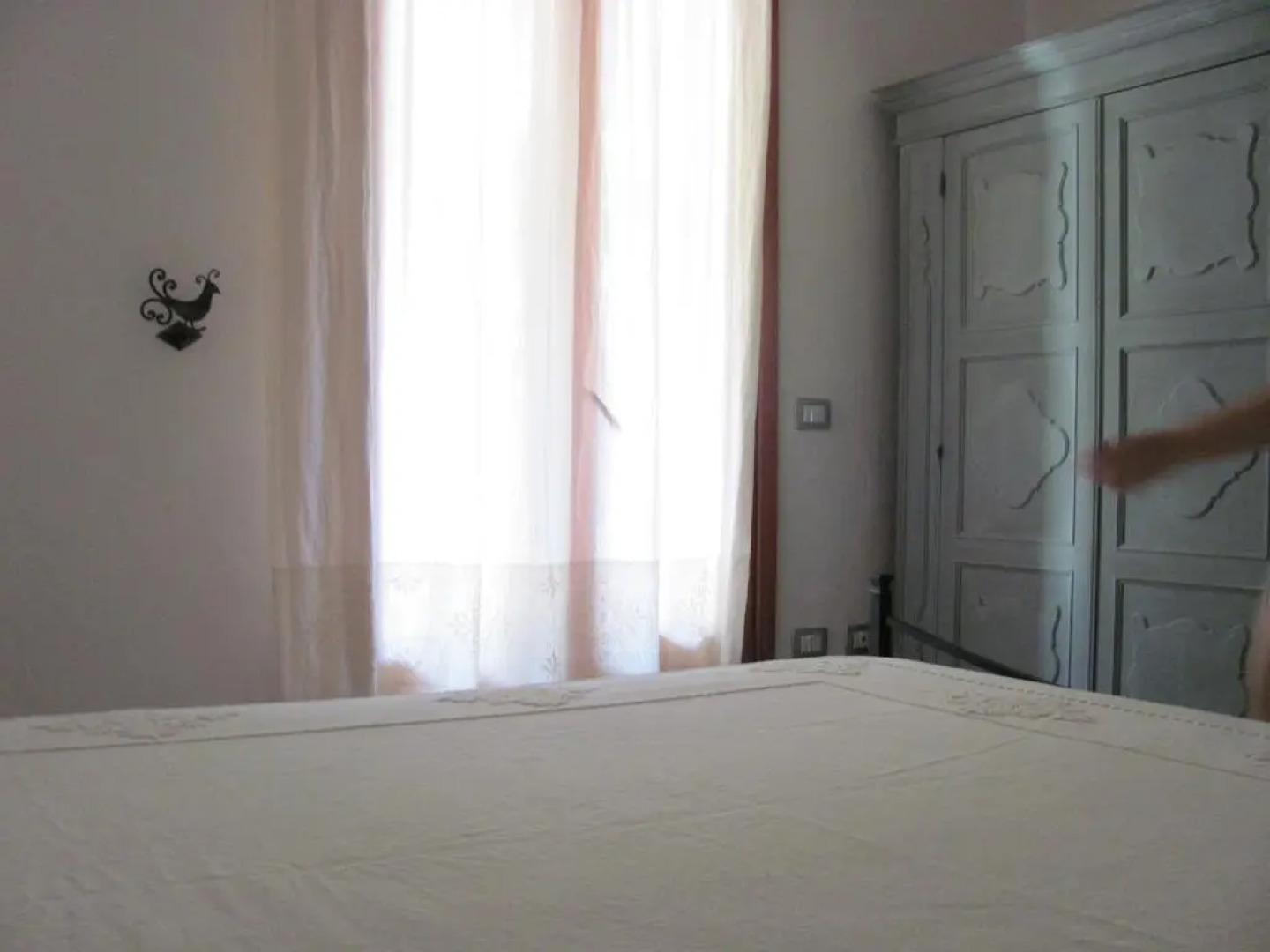 Olivastro di Agnieszka