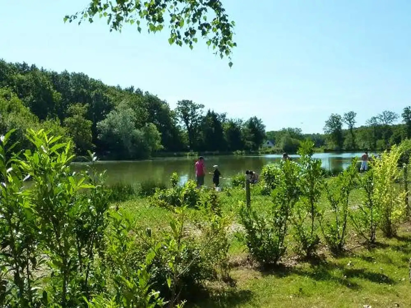 Bungalow With 3 Bedrooms in Onzain, With Shared Pool and Enclosed Garden