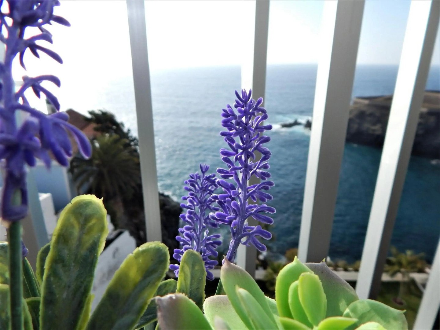 Apartamento Monis Natura