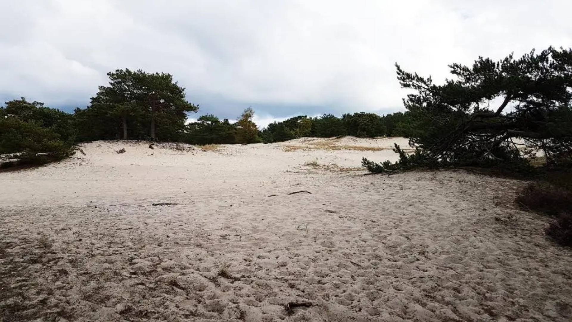 Na Wydmach. Spokój. Cisza. Las dookoła