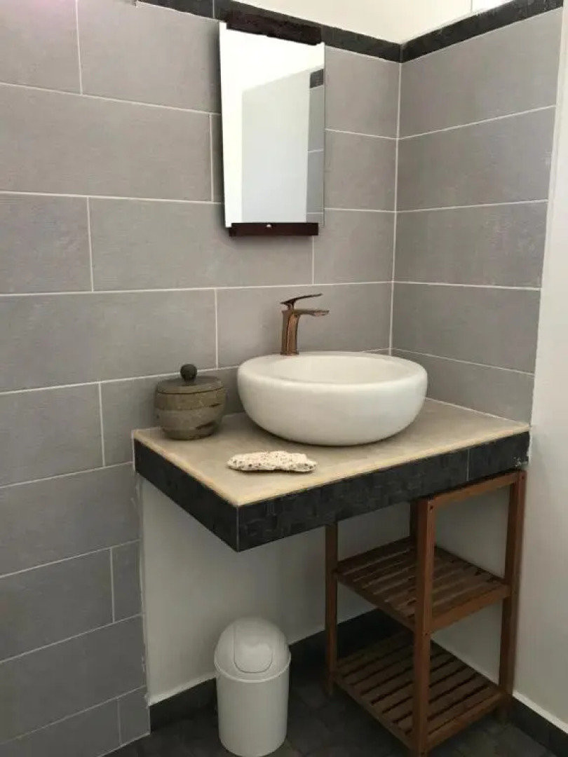 LES ALOÈS By CREYOL ANIMAL