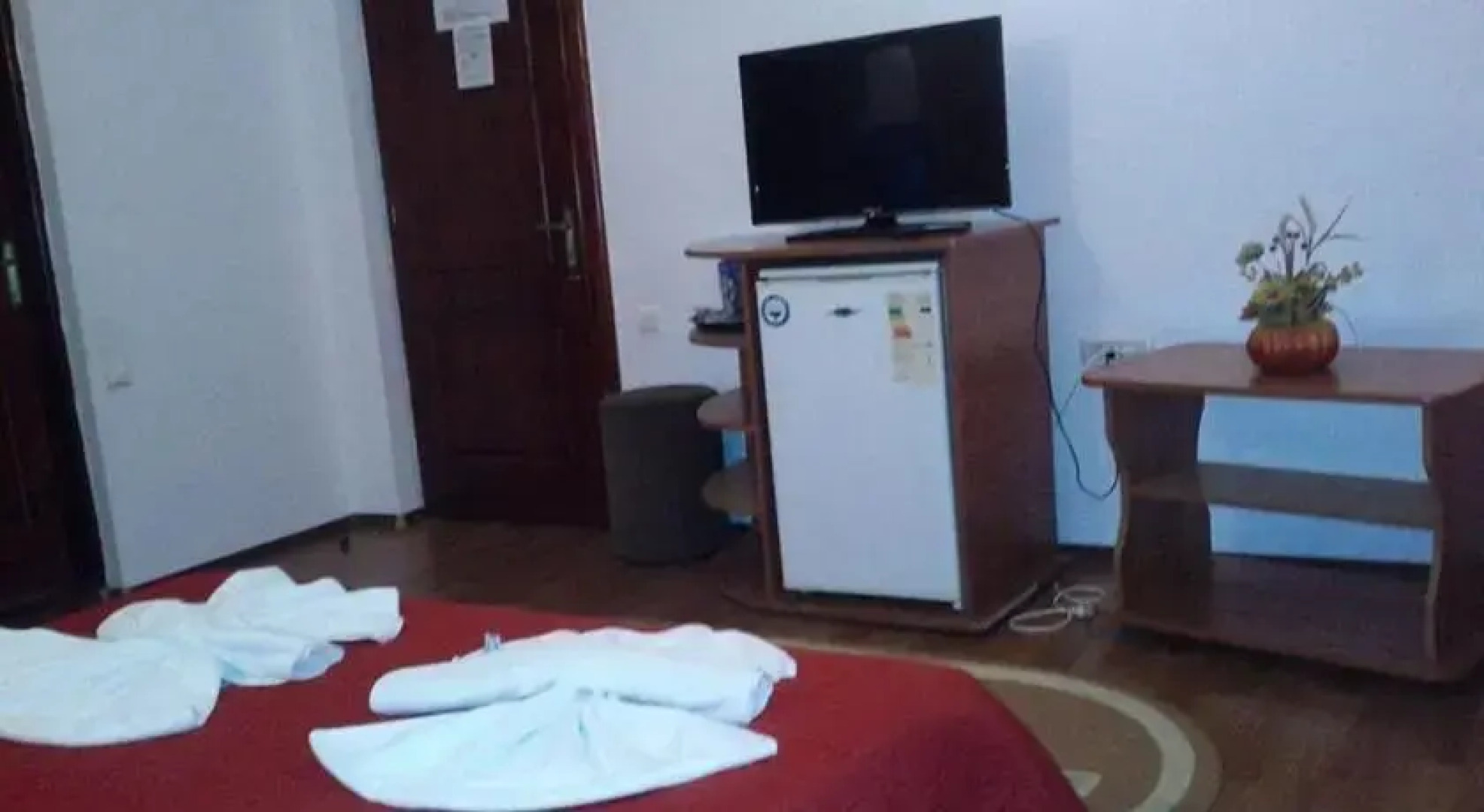 Pensiunea Europa Olanesti