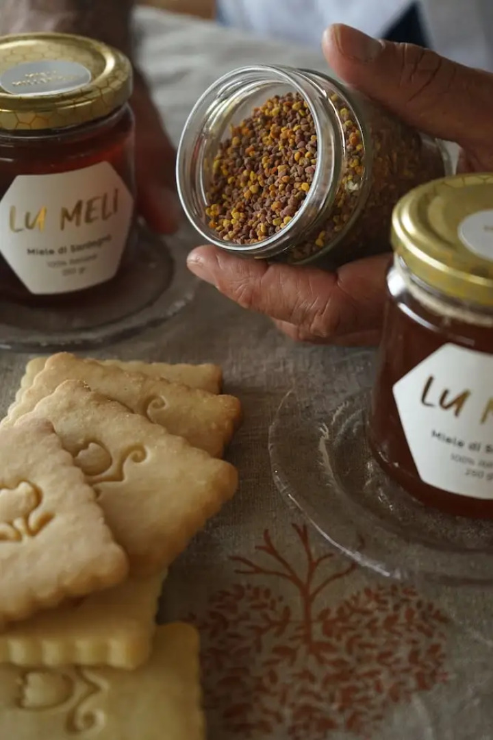 Albero Capovolto Country & Sea