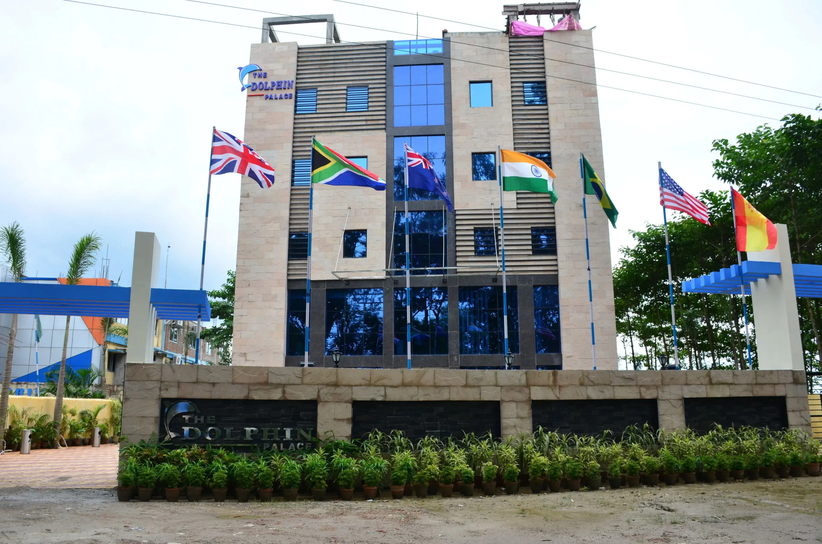 Dolphin Chocolate Inn