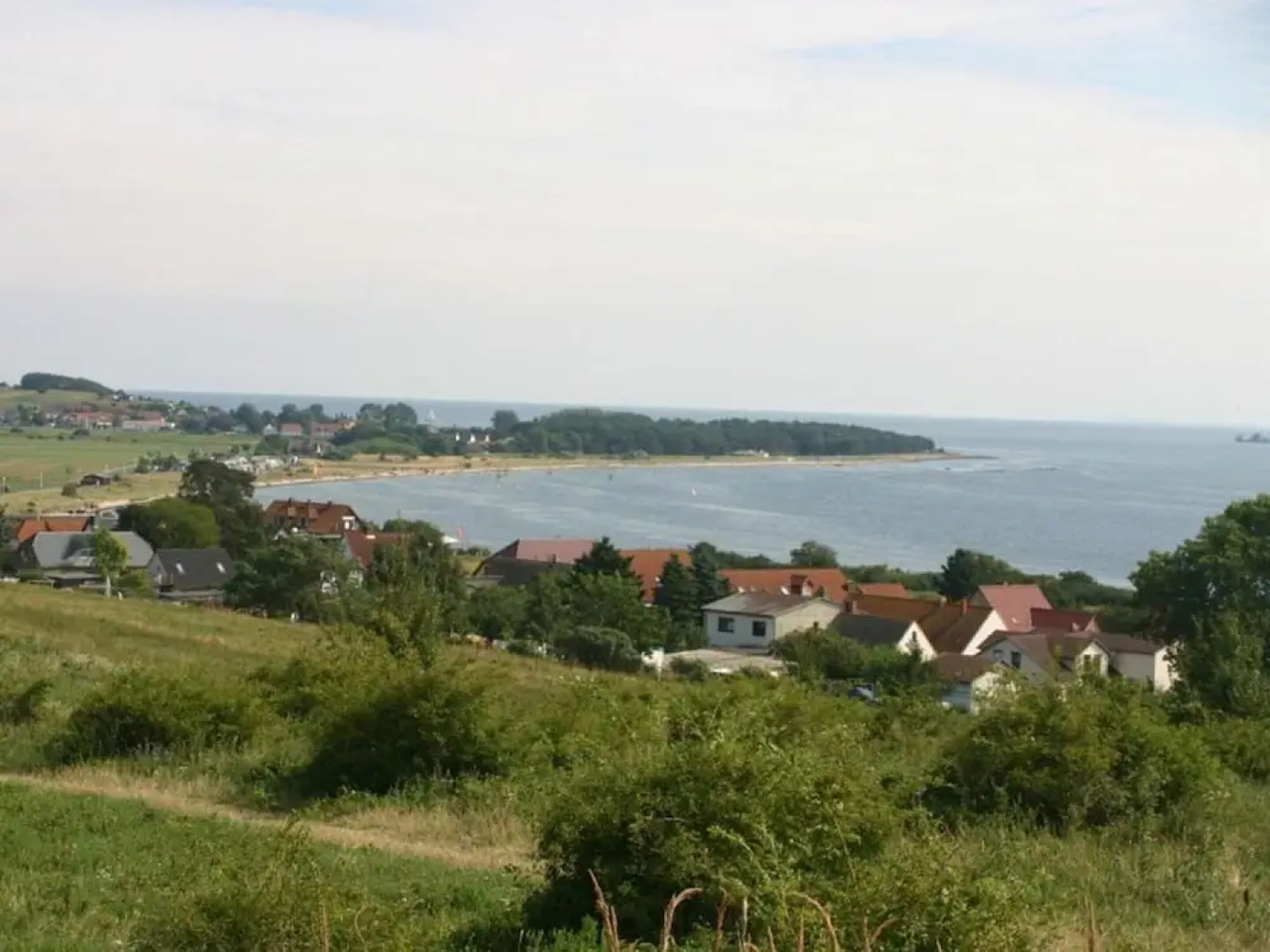 Seeschwalbe in Villa Sirene, Binz