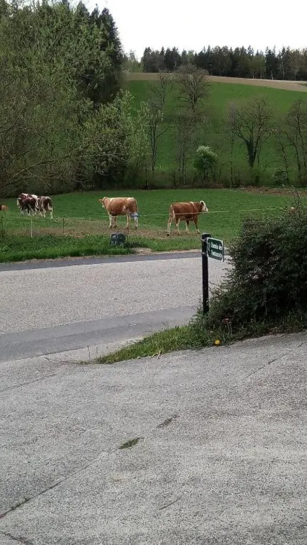 Chambres dhôtes chez Pierrot et Flo
