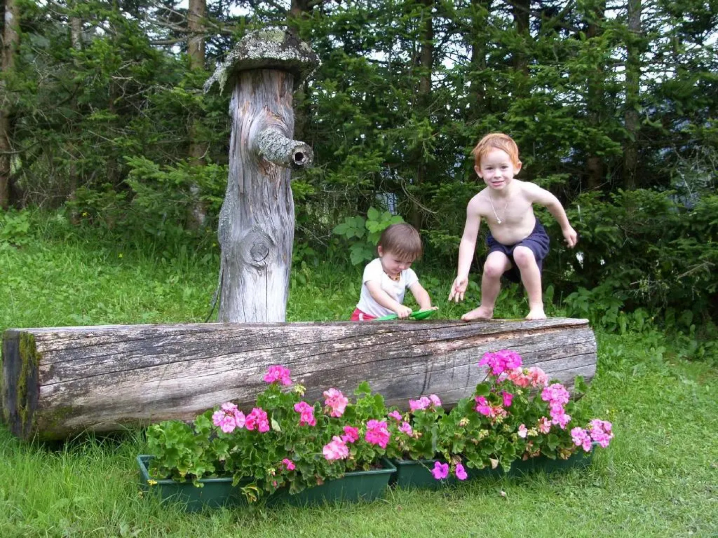 Apartment - Ferienwohnung Elisabeth