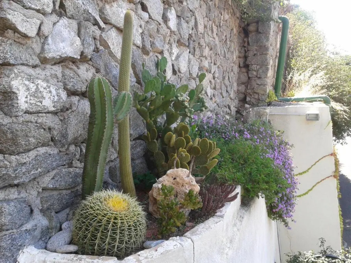 Residence a 150 metri dal mare e dalla scogliera di Pietragrande - Montauro