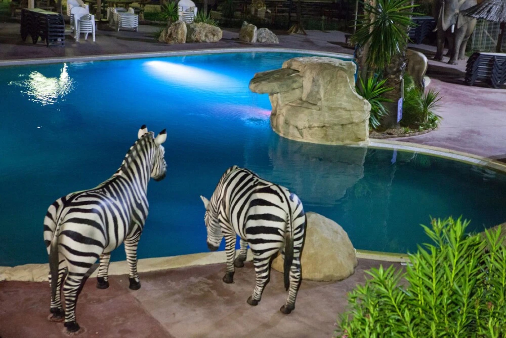 Camping & Spa CAP SOLEIL