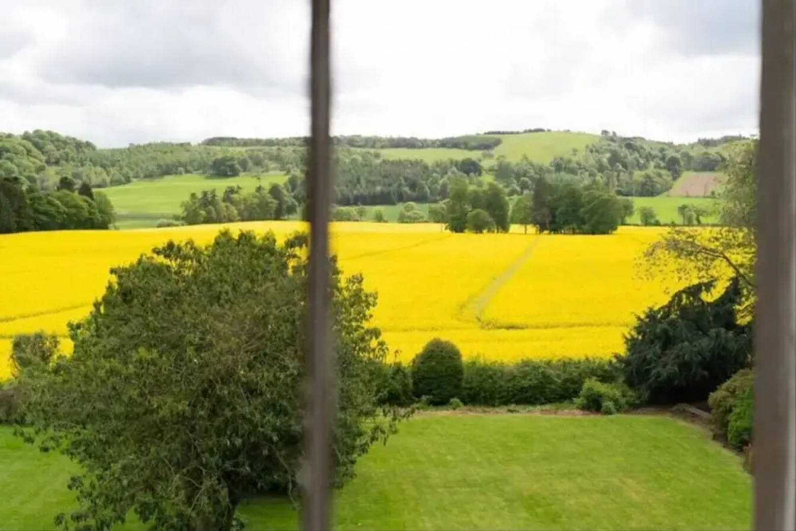 The Nutcracker Suite