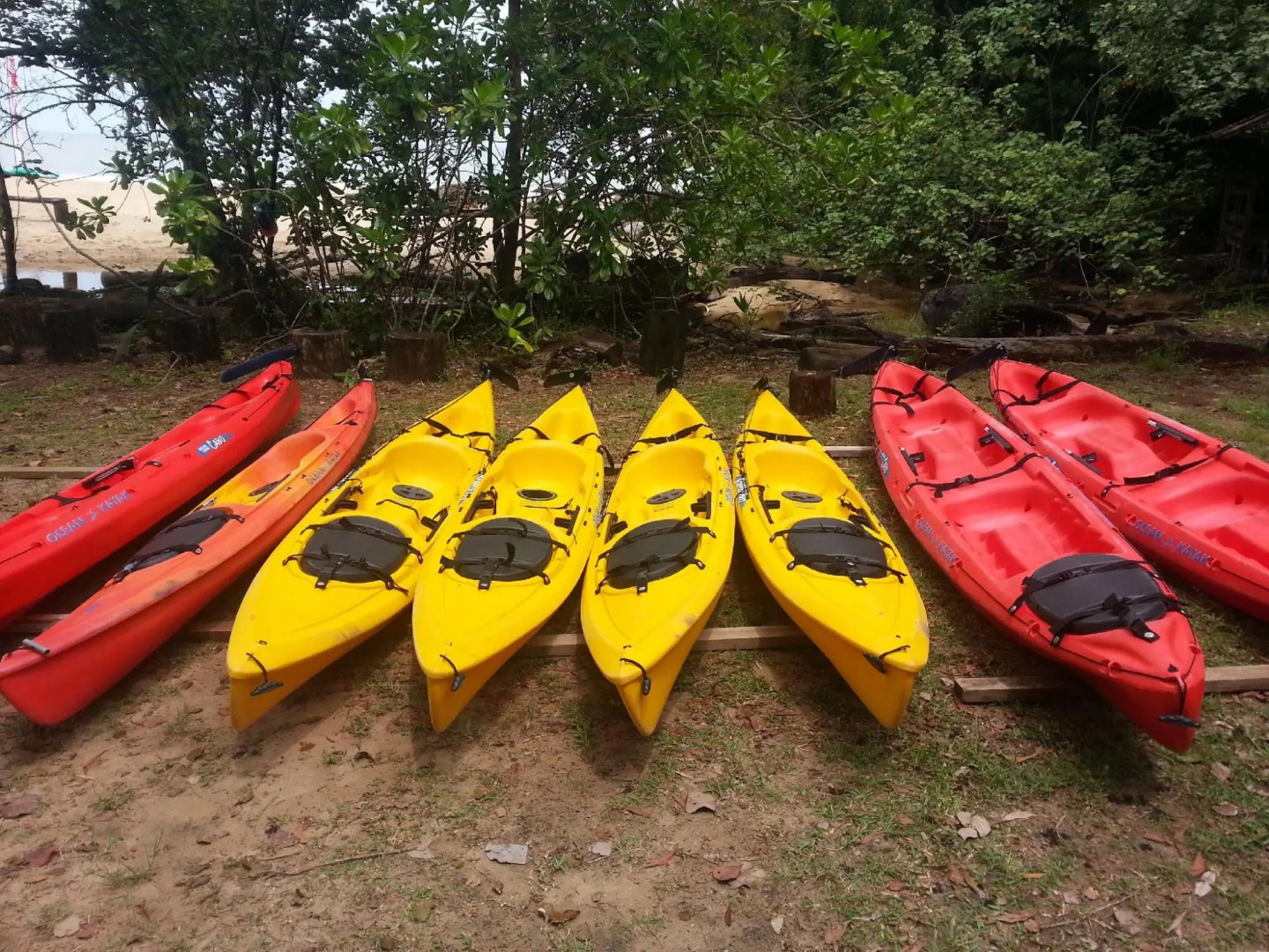 Permai Rainforest Resort