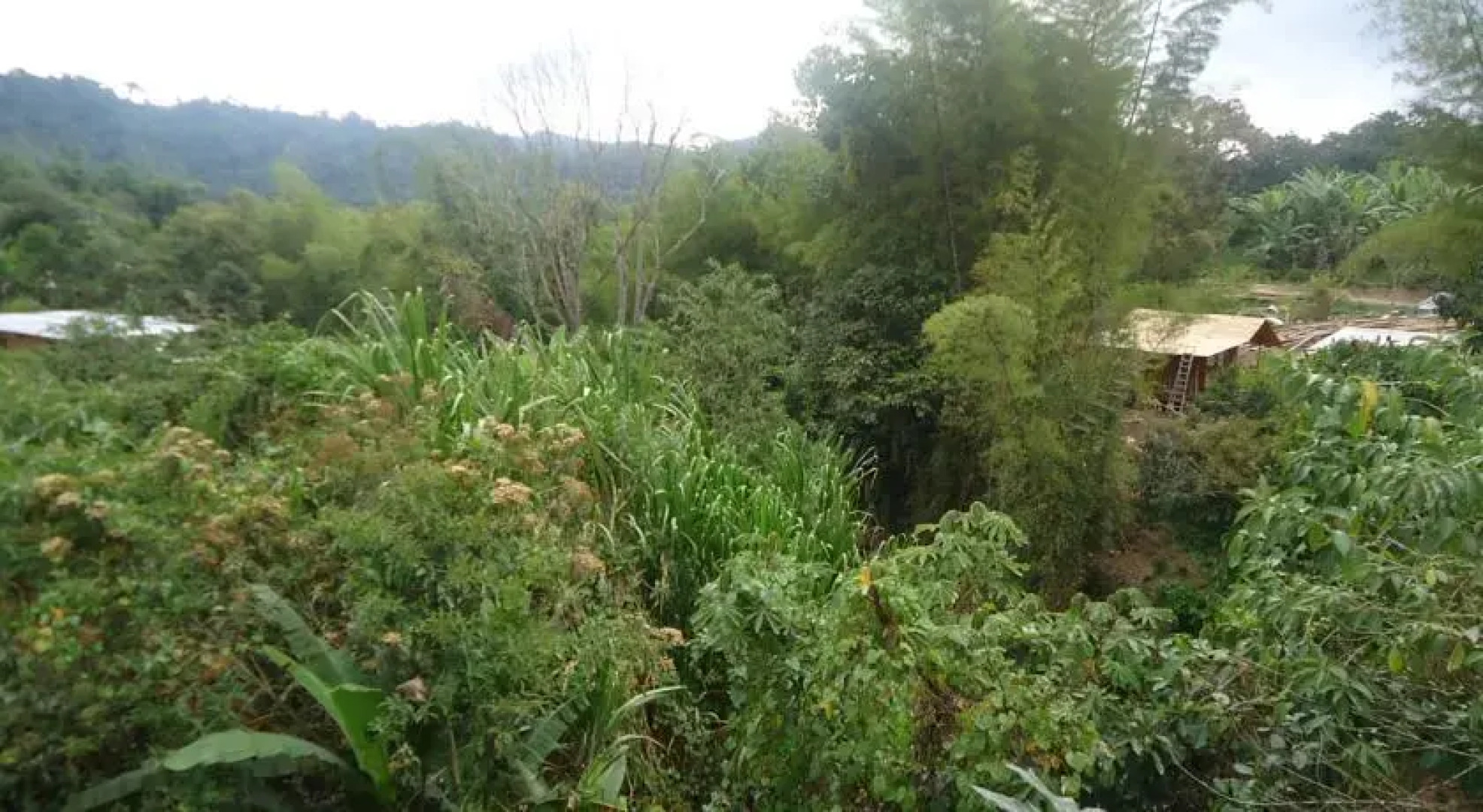 Hostal Charito de Mindo