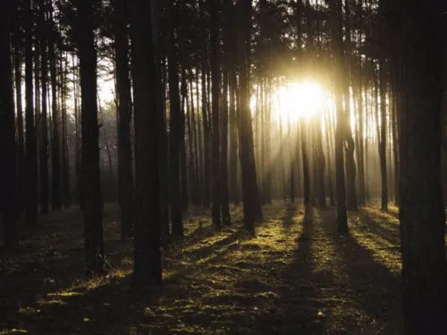 STARA WIEś RESORT & ODNOWA 9652