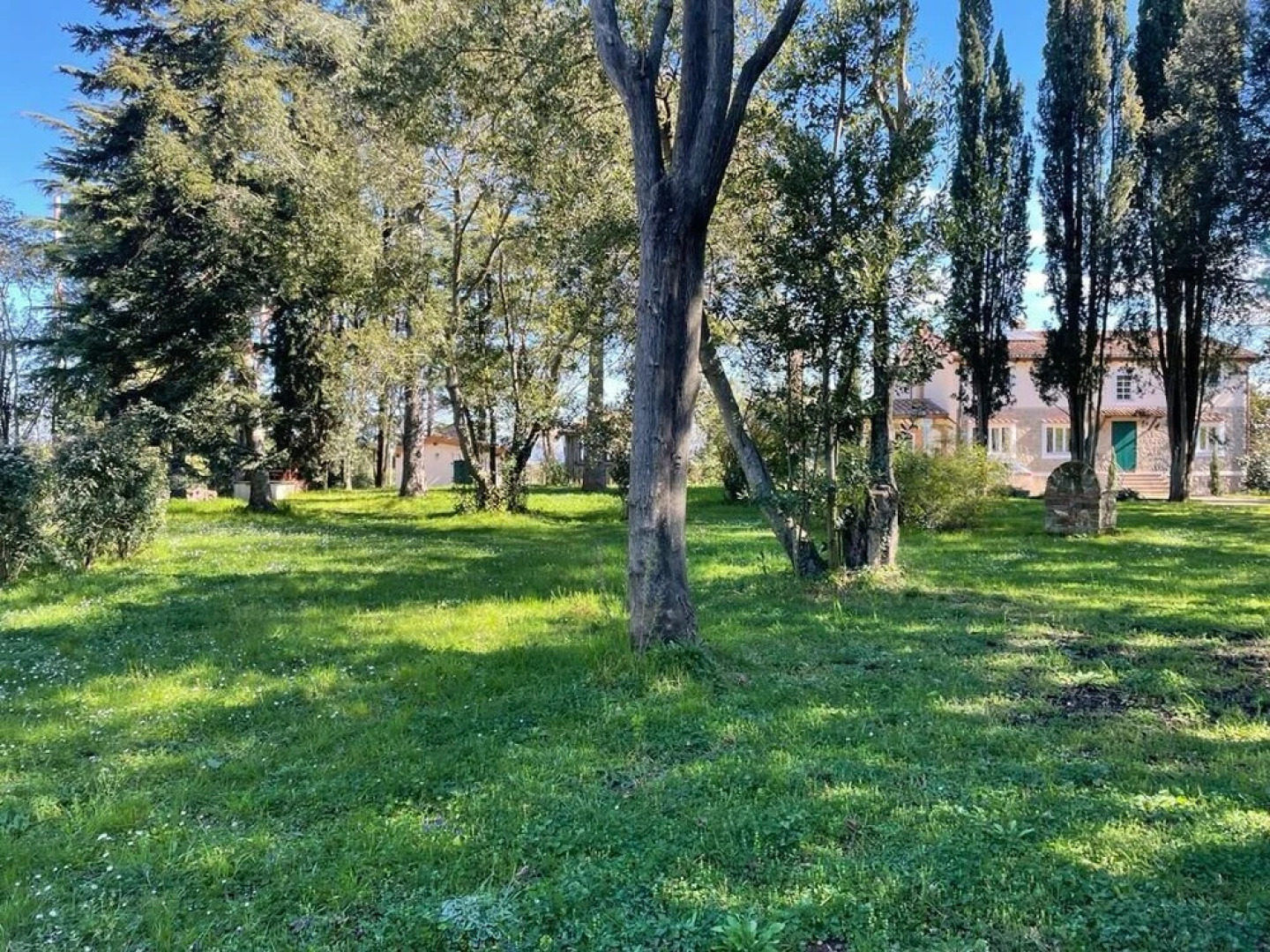 Poggio delle Molare