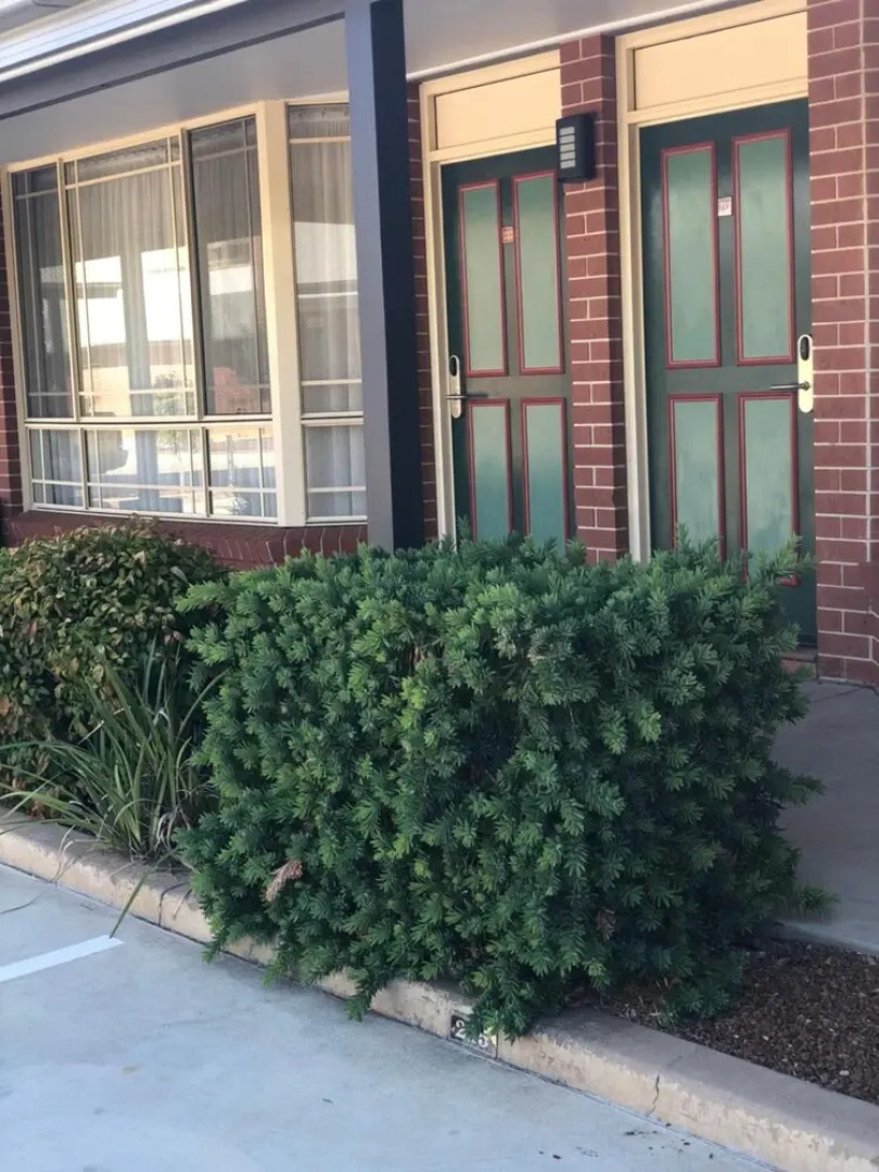 Young Federation Motor Inn