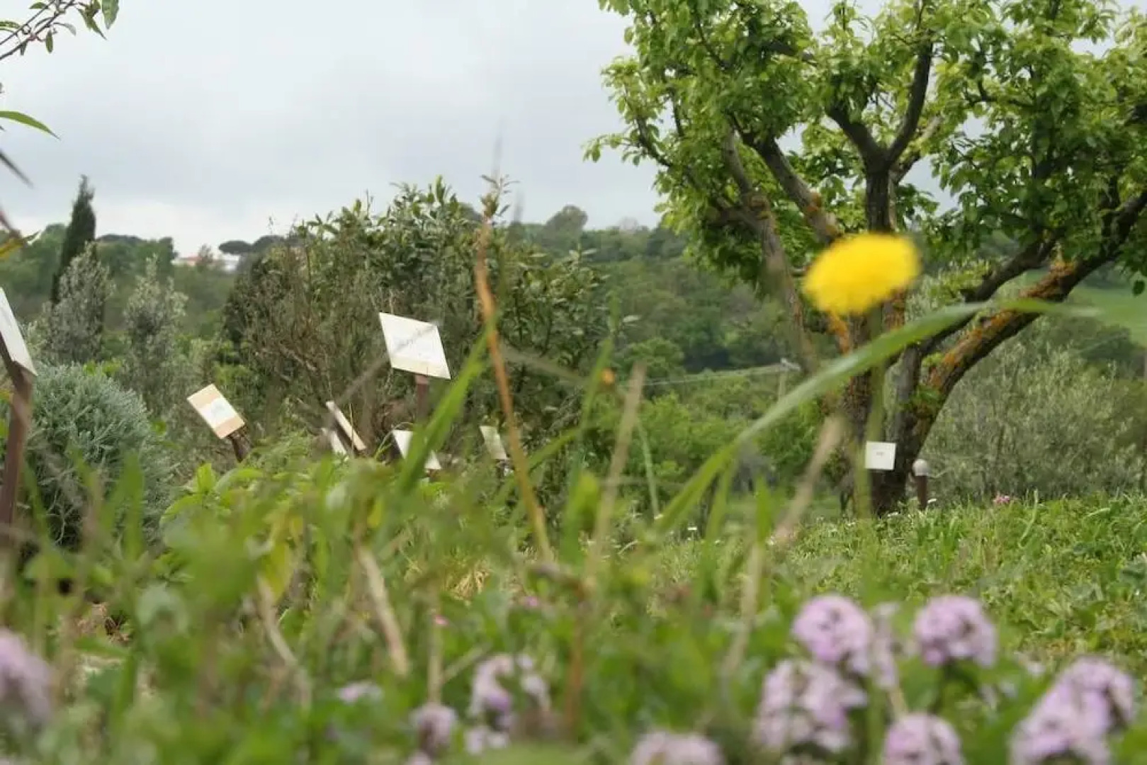 Agriturismo L'Antica Sosta