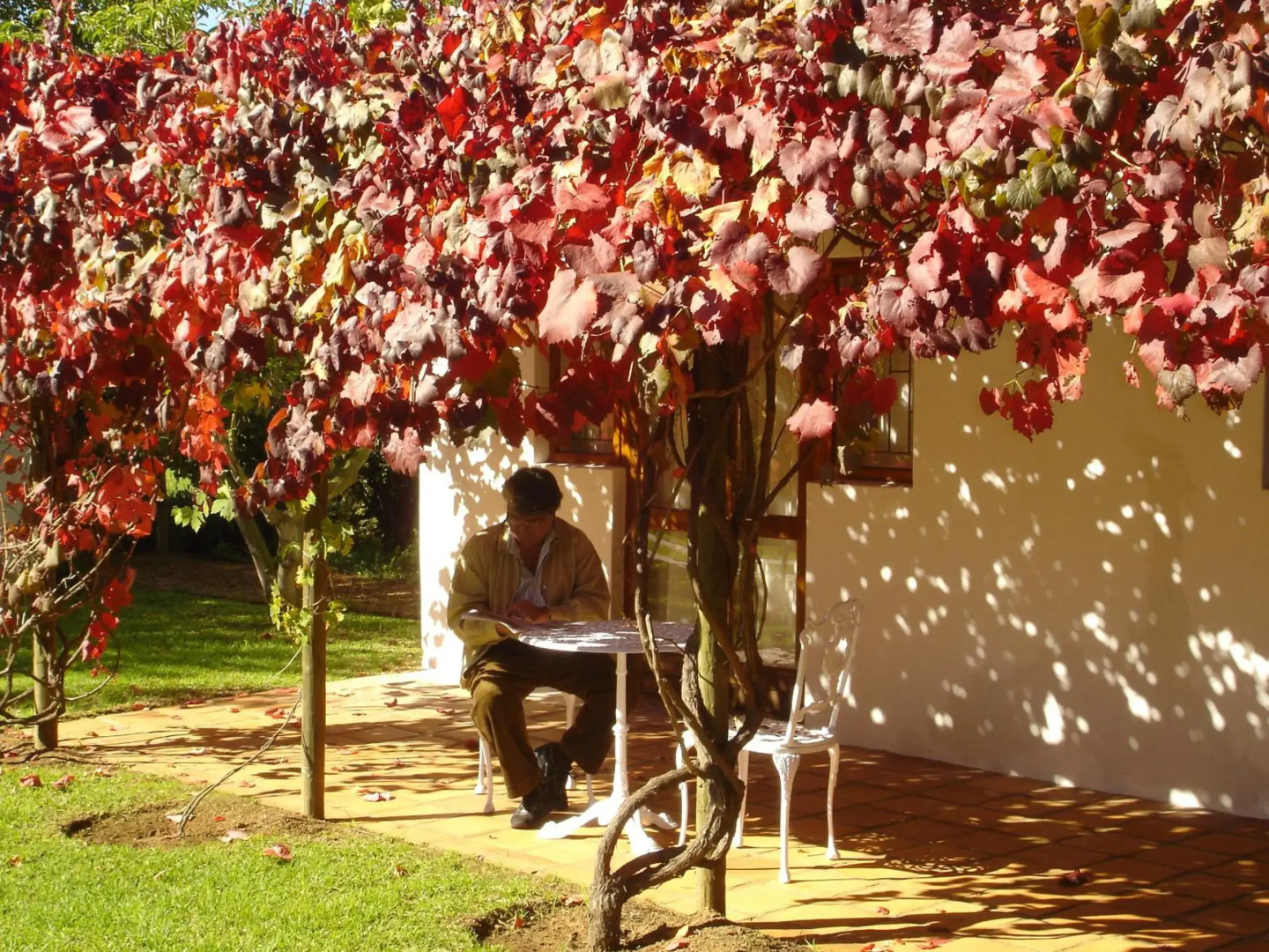 De Doornkraal Vinotel