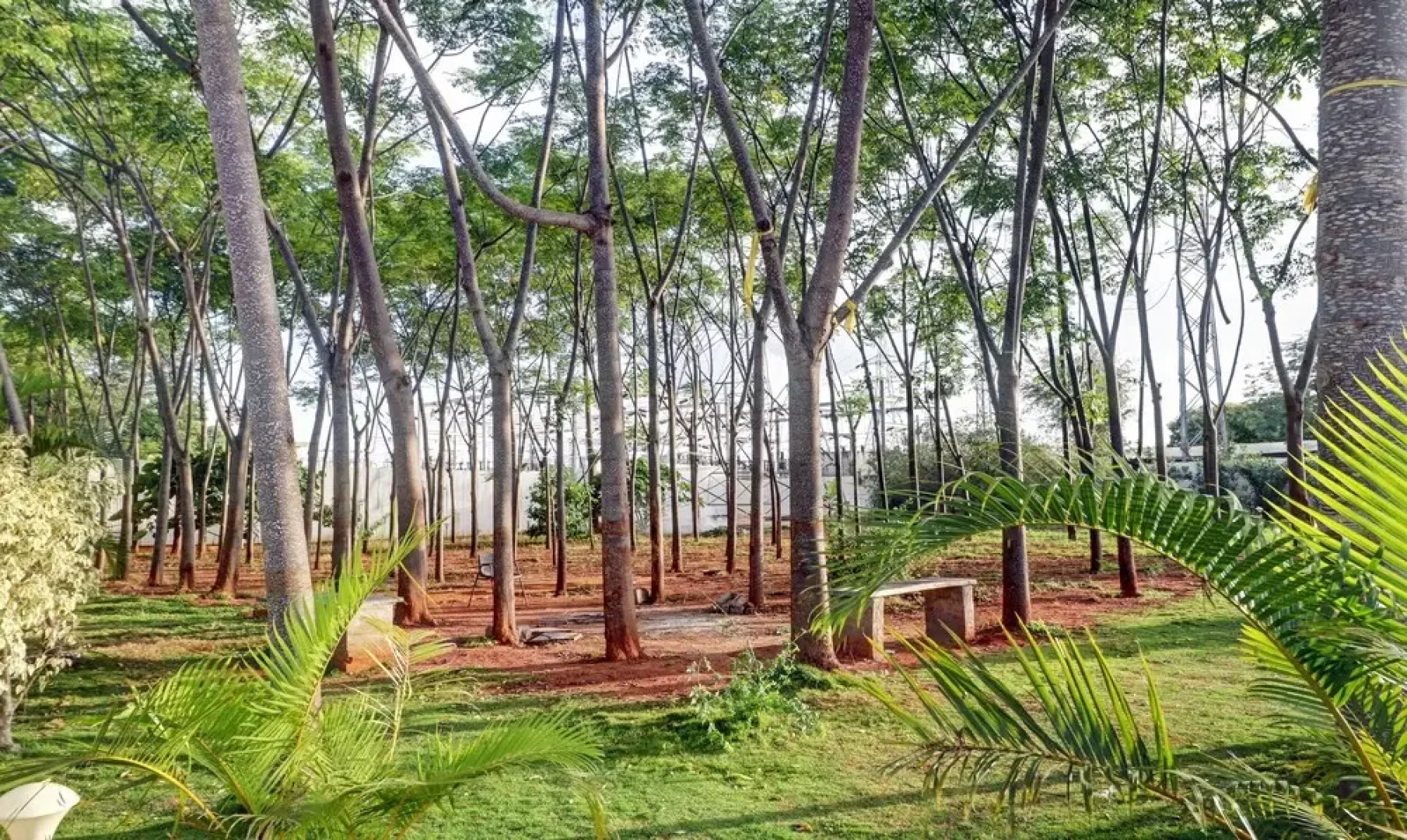 Treebo Trend Grand JP Inn