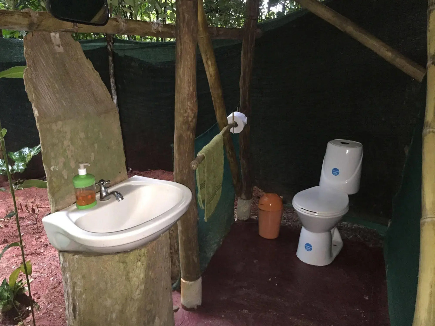 Isla Violin Eco Lodge