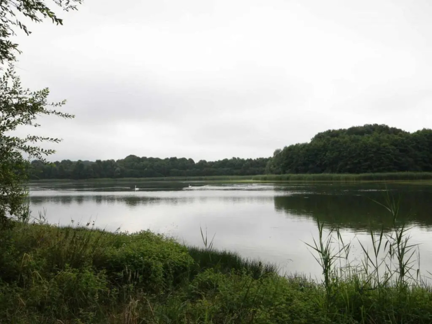 Gîte Marchainville, 2 pièces, 2 personnes - FR-1-497-84