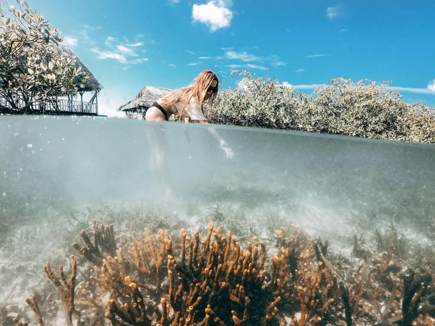 Selina Bocas Del Toro