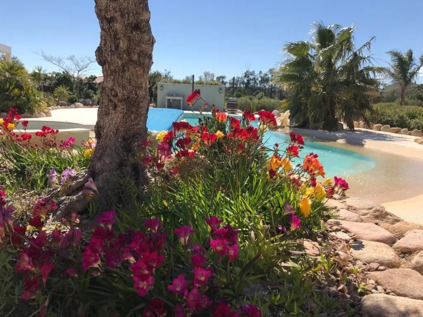 L'Hacienda Piscine chauffée à 28, spa, boulodrome et court de Tennis privés, 2 villas indépendantes