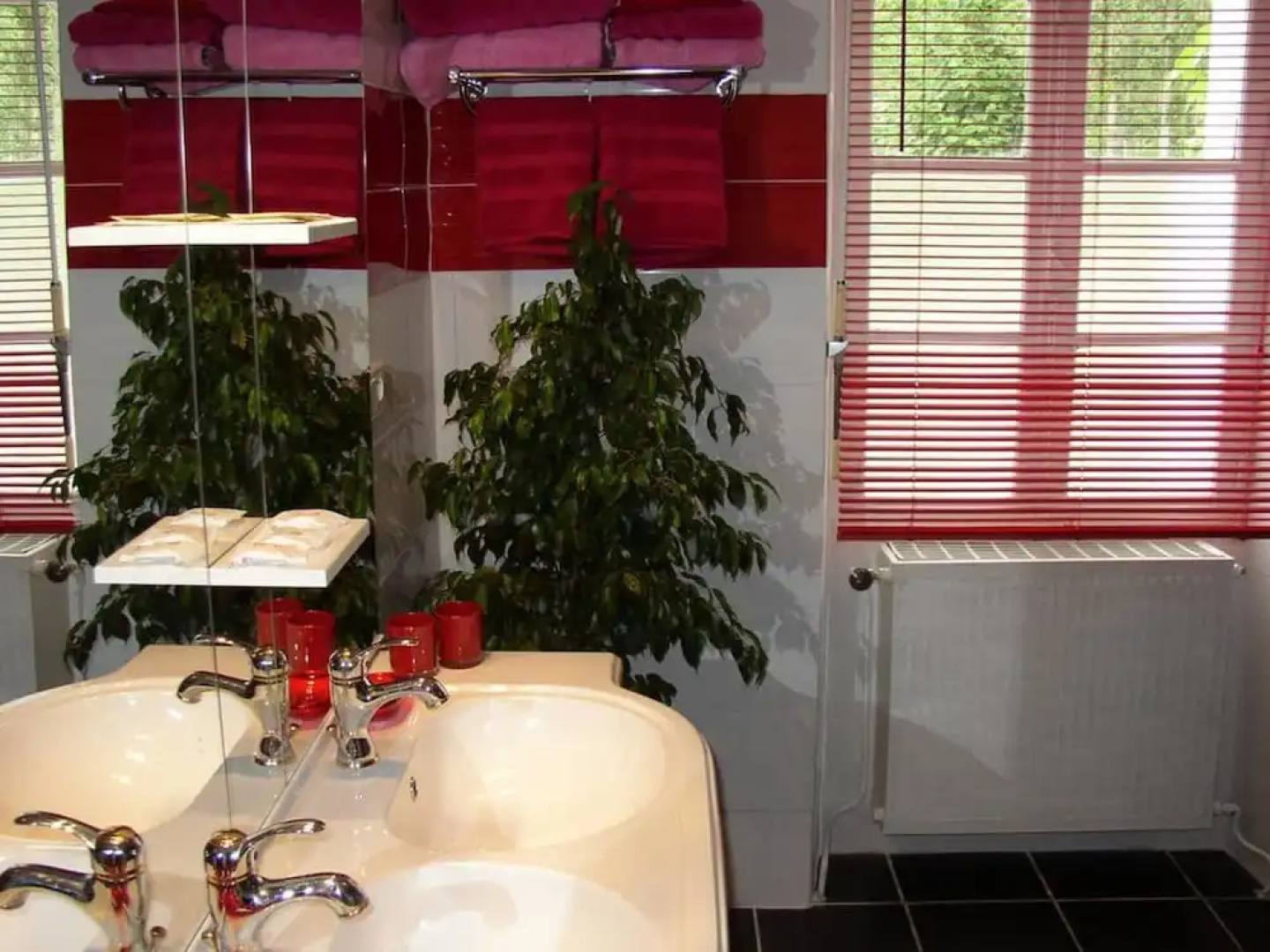 Le jardin des cygnes