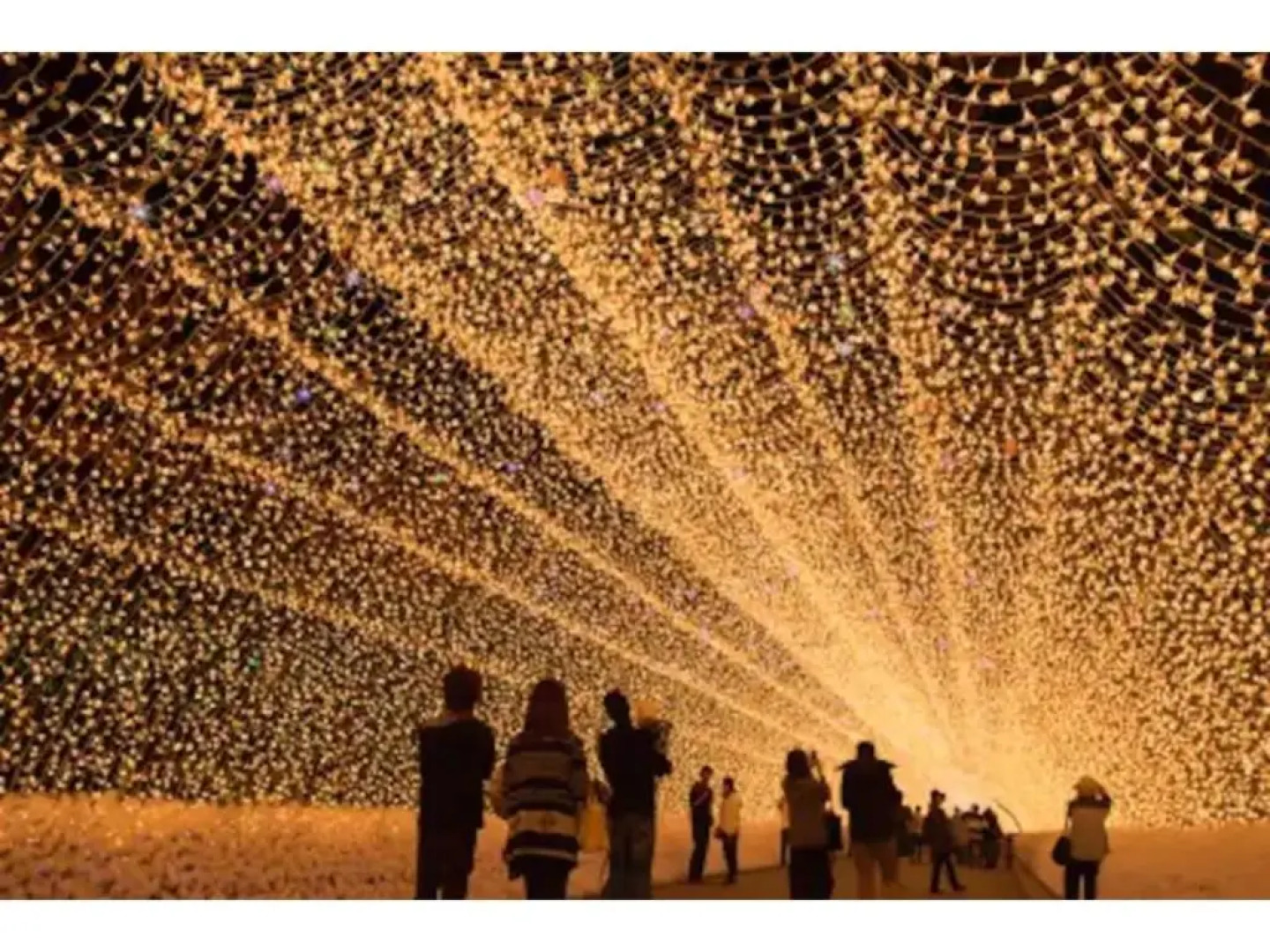 Mugi no oyado - Vacation STAY 13499