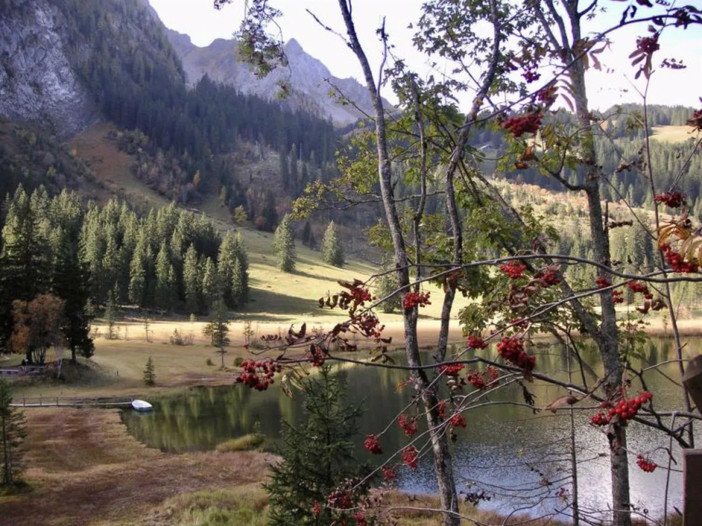 Apartment Am Schilf Lauenen b. Gstaad