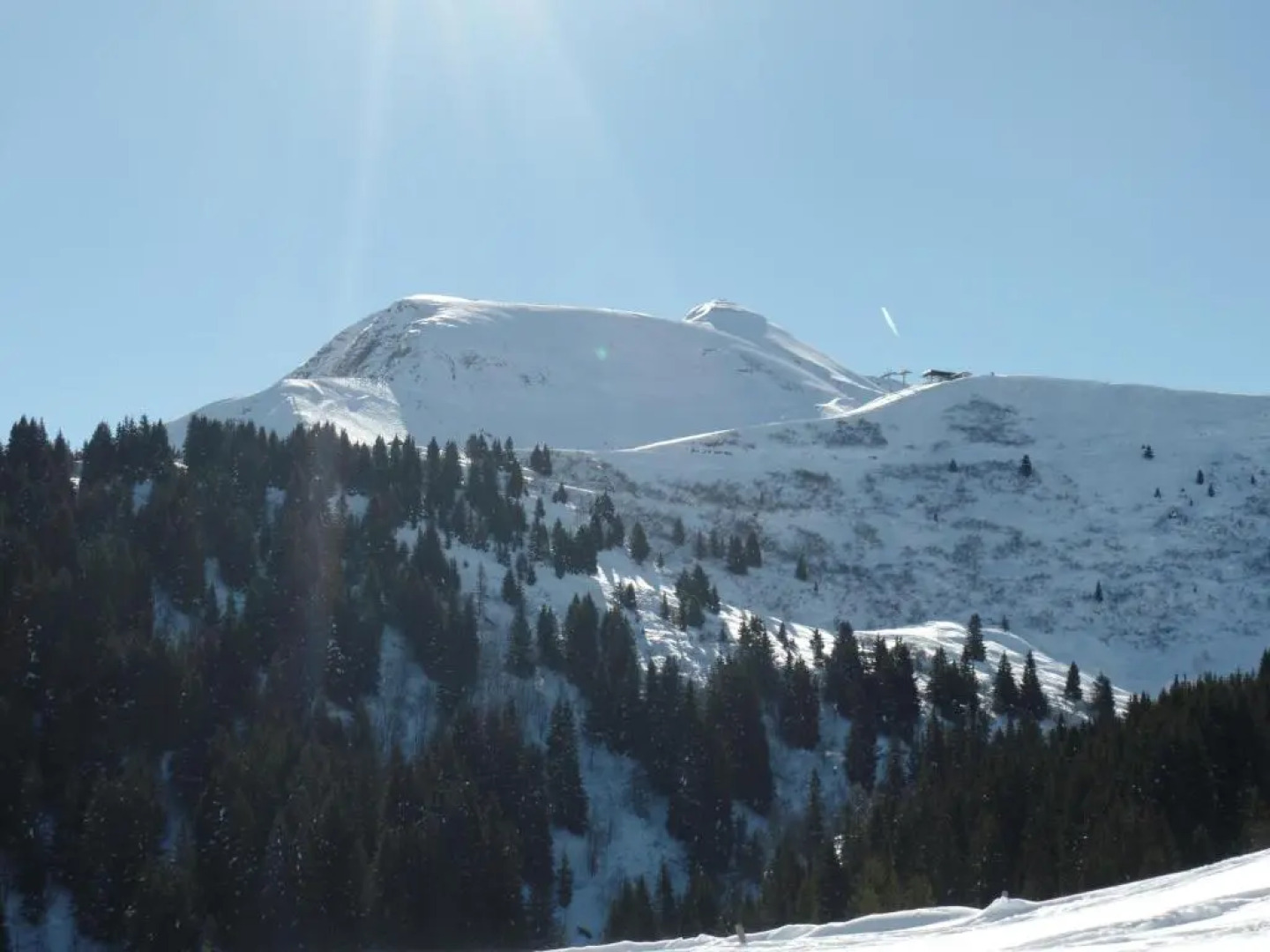 Chalet Le Grand Paddock