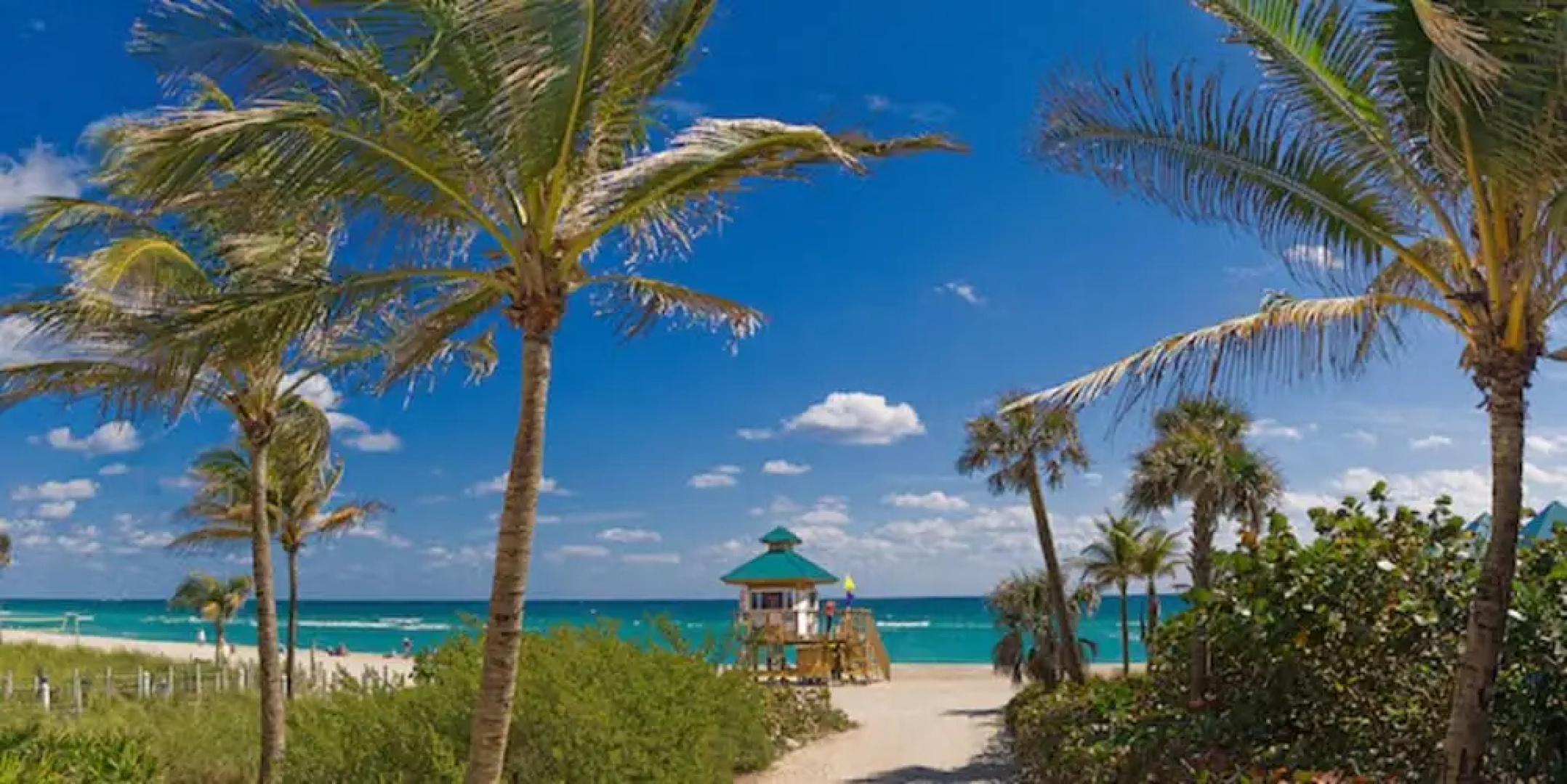 Luxury Sunny Isles Beach Condos by Hosteeva