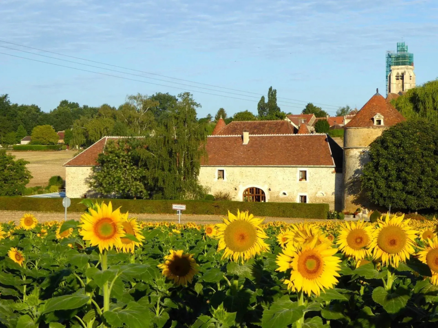 Château de Ribourdin