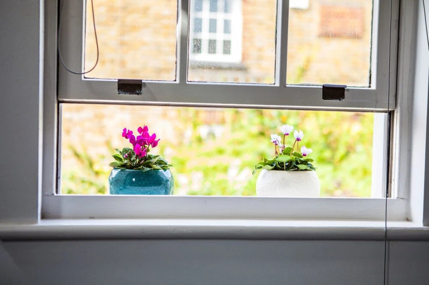 Cyrus House Cottage Apartment