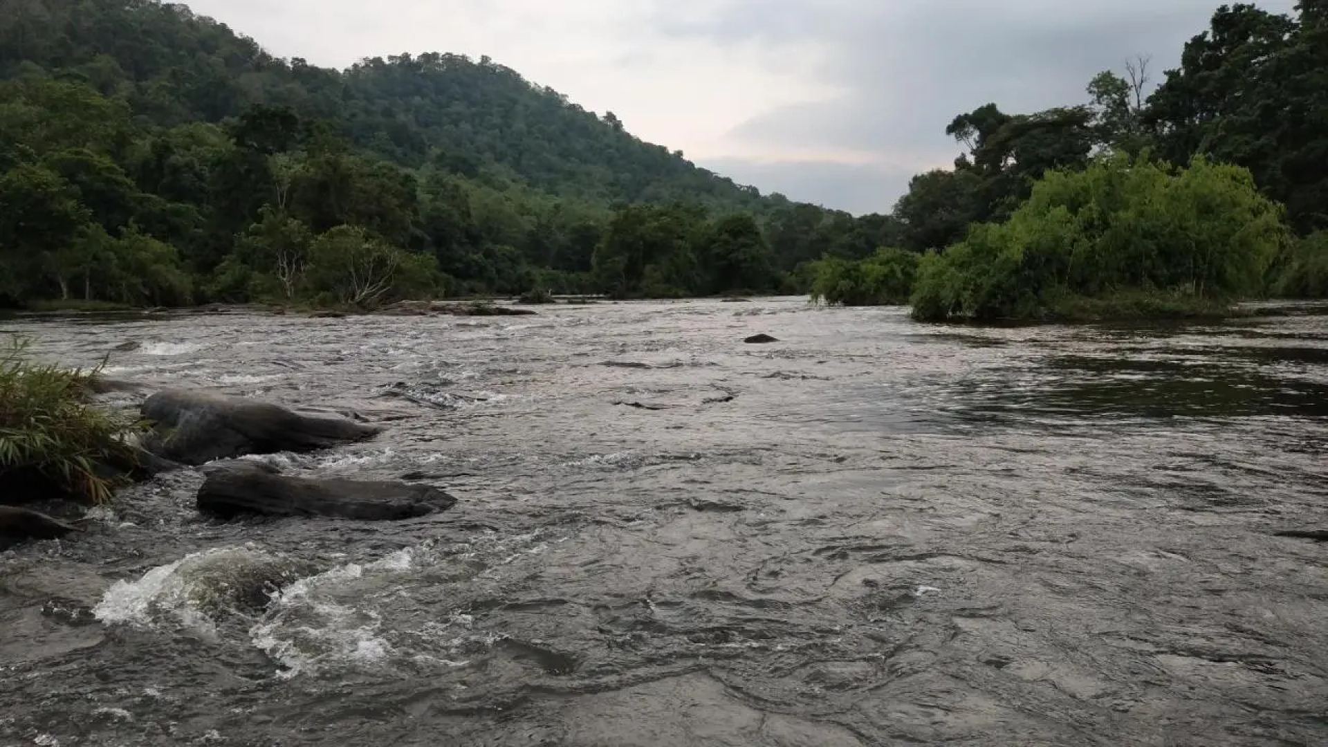 Willow Heights Athirapally