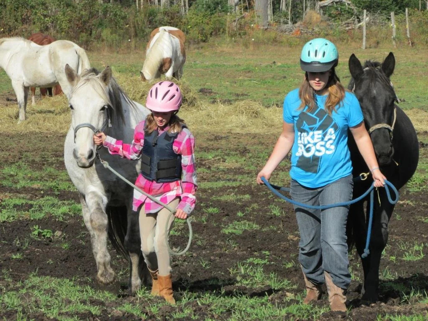 Dwight Village Motel