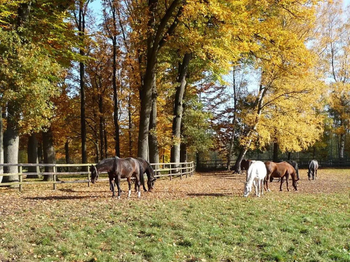 Beekenhof
