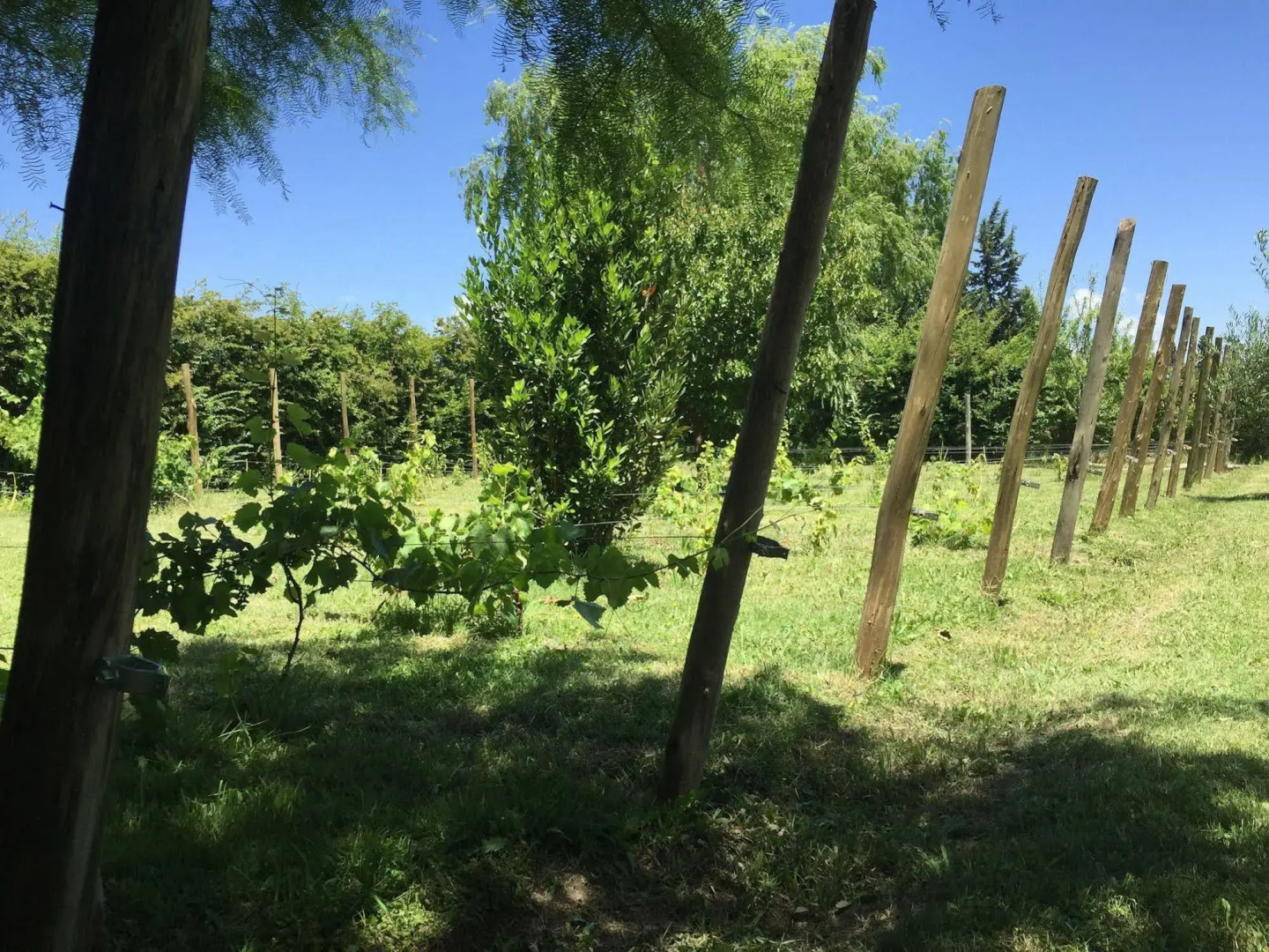 Tikaykilla Lodge & Wines