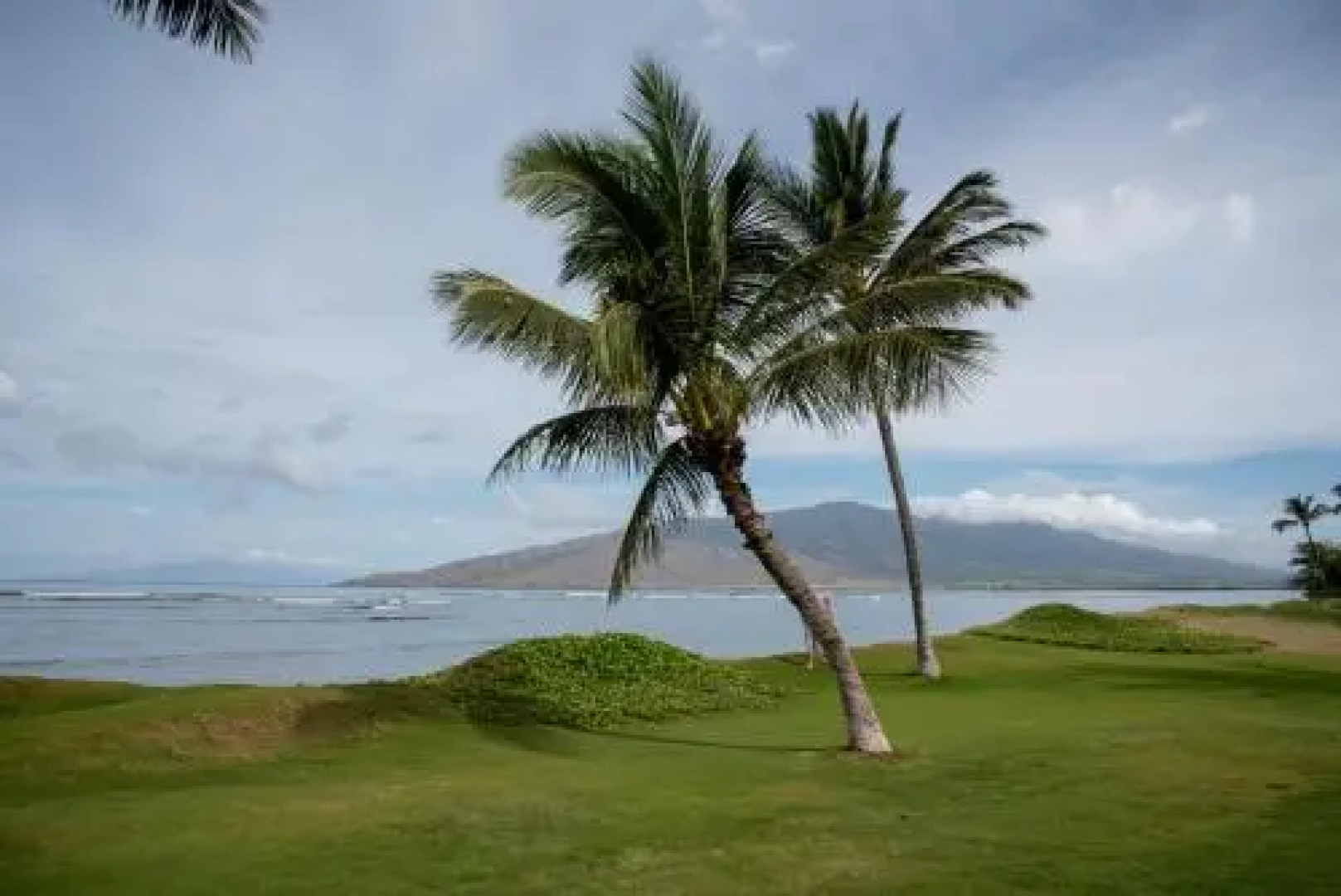 Aloha Mai2