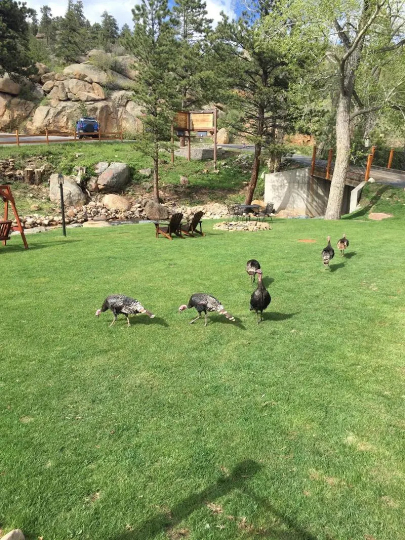 4 Seasons Inn on Fall River