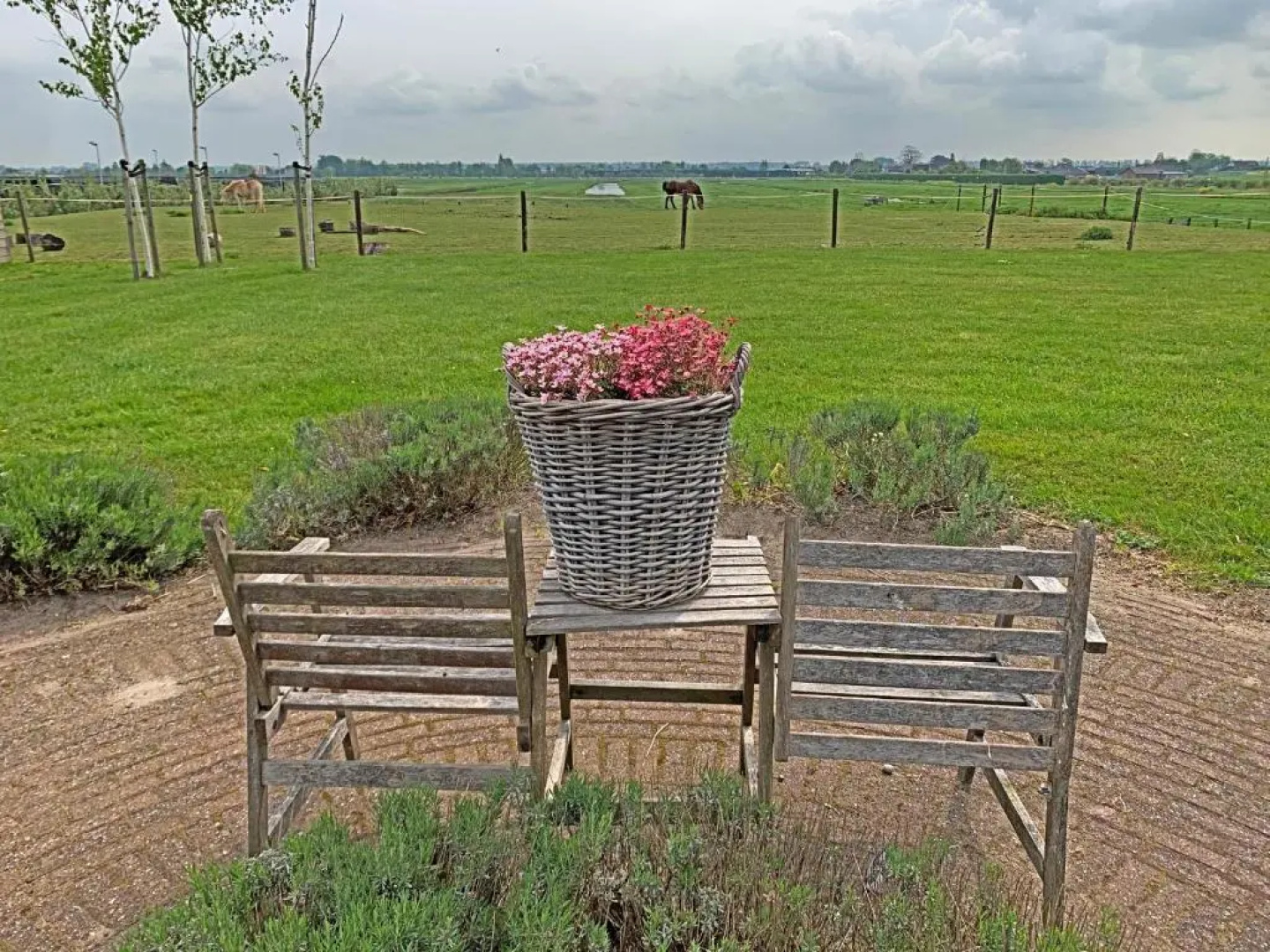 Farm Stay Christinahoeve