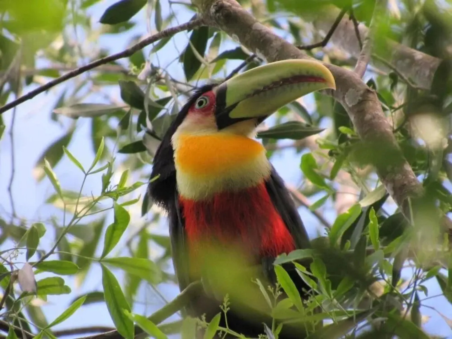 El Soberbio Lodge