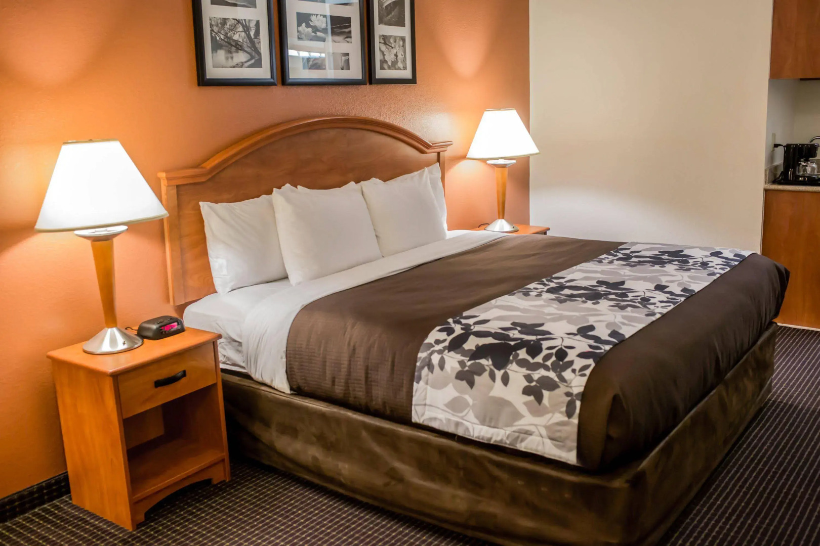 Sleep Inn & Suites Stafford - Sugarland