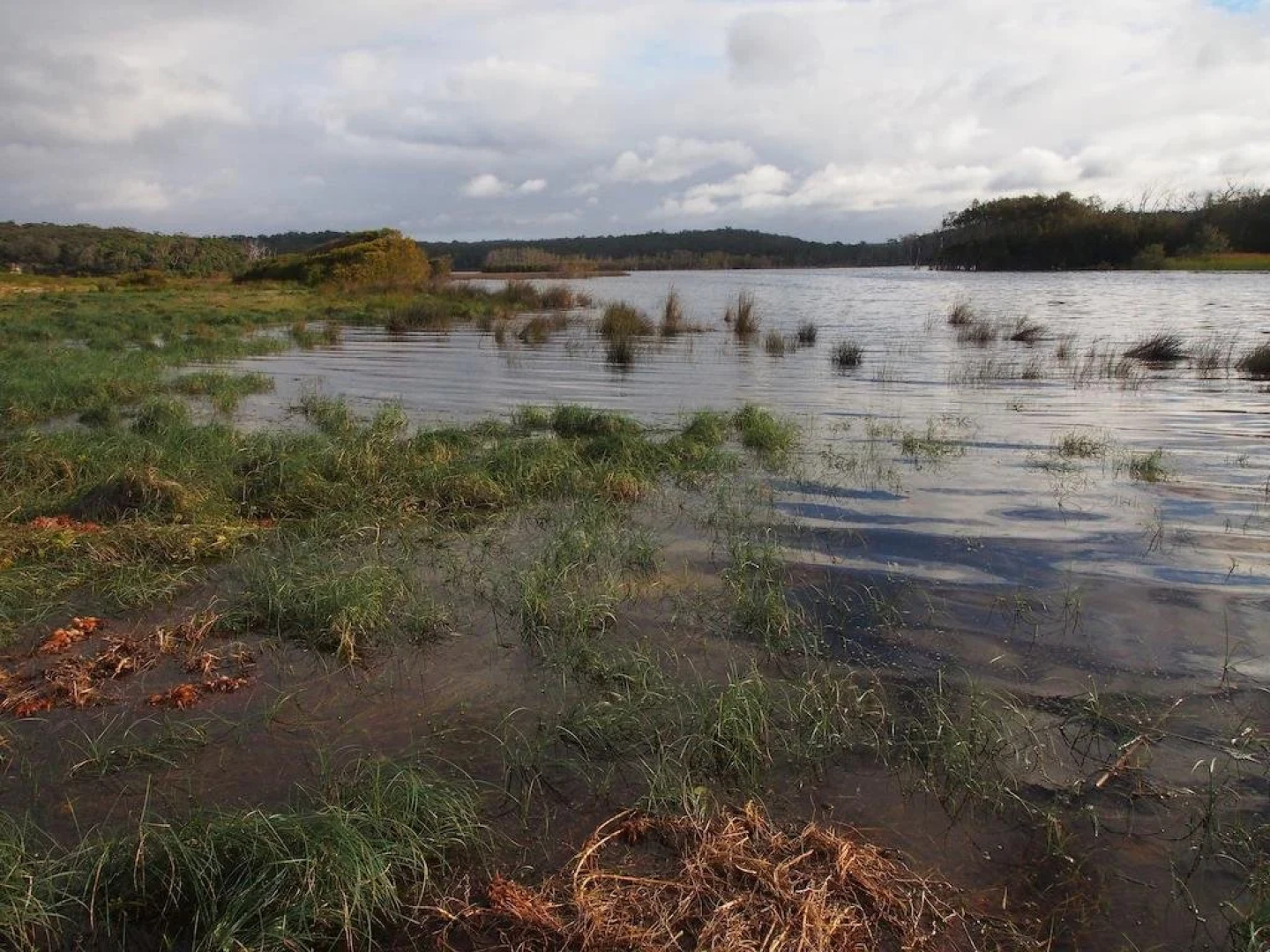 Bundle Hill Cottages