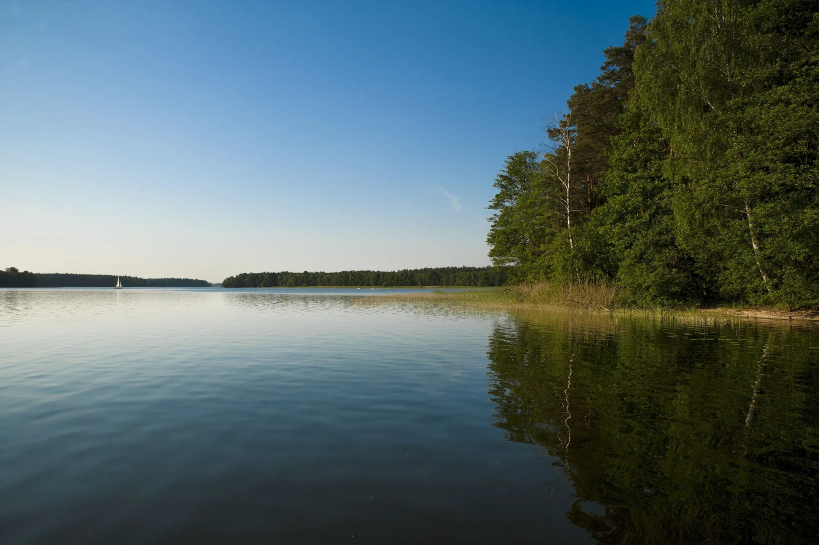 Energetyk Ośrodek Wypoczynkowo - Szkoleniowy
