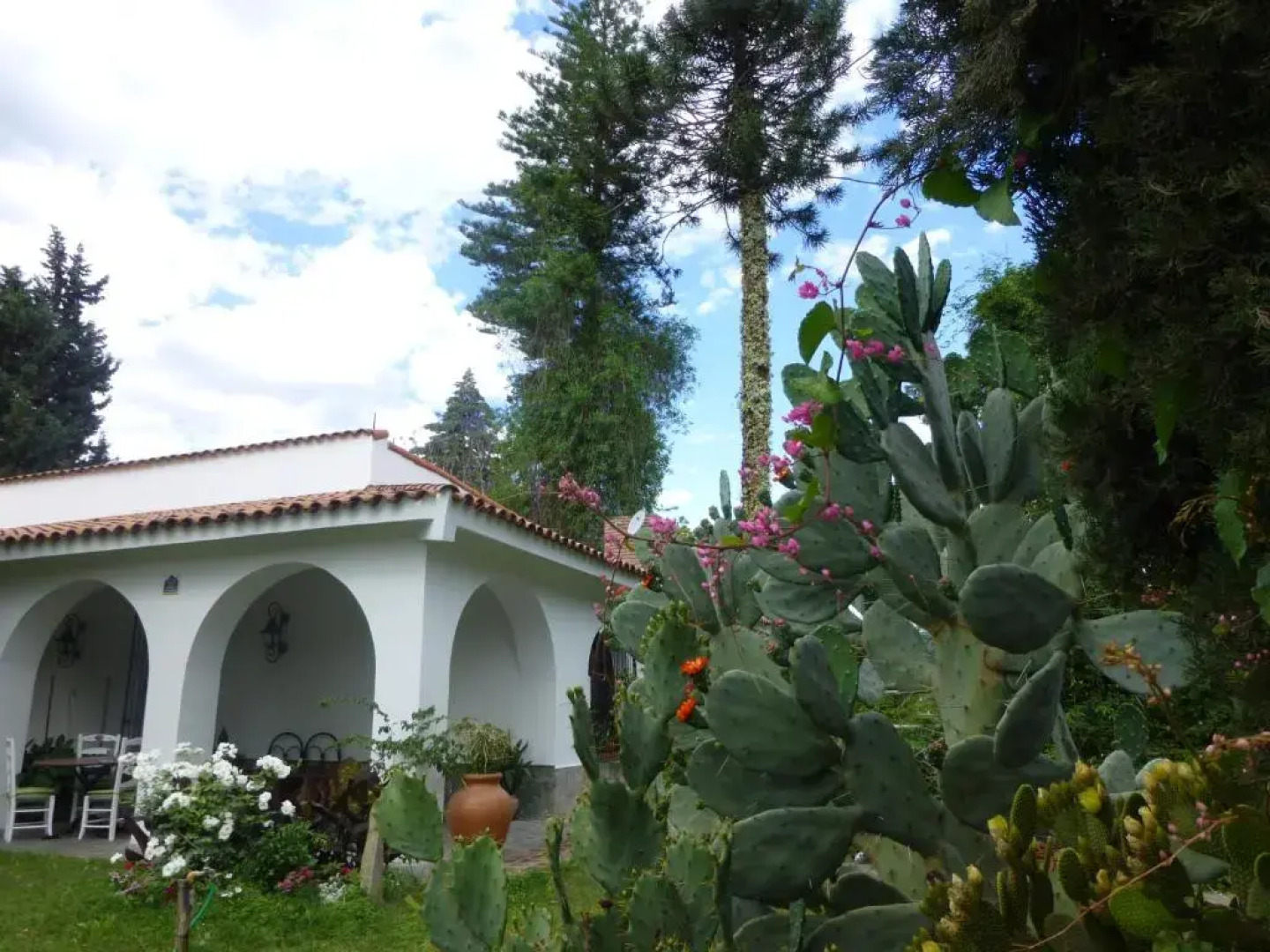 Loft en Casona Colonial