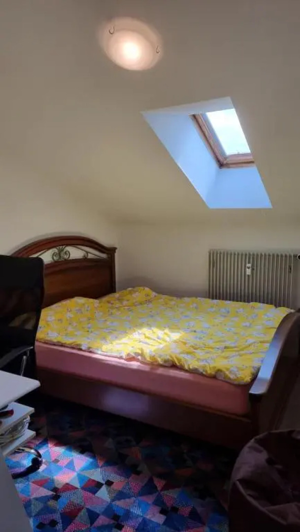 1001 Oriental Nights