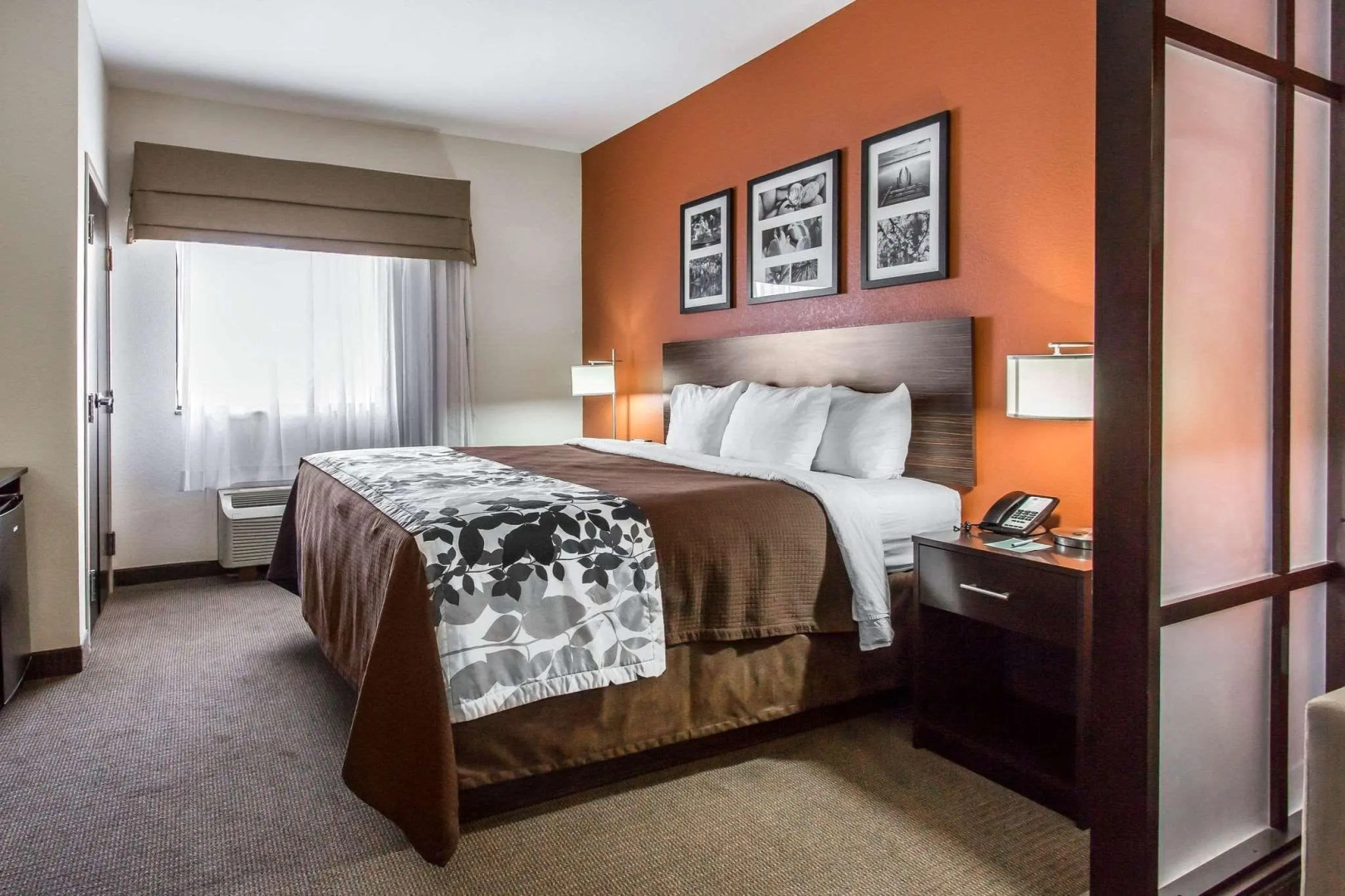 Sleep Inn & Suites Lubbock West