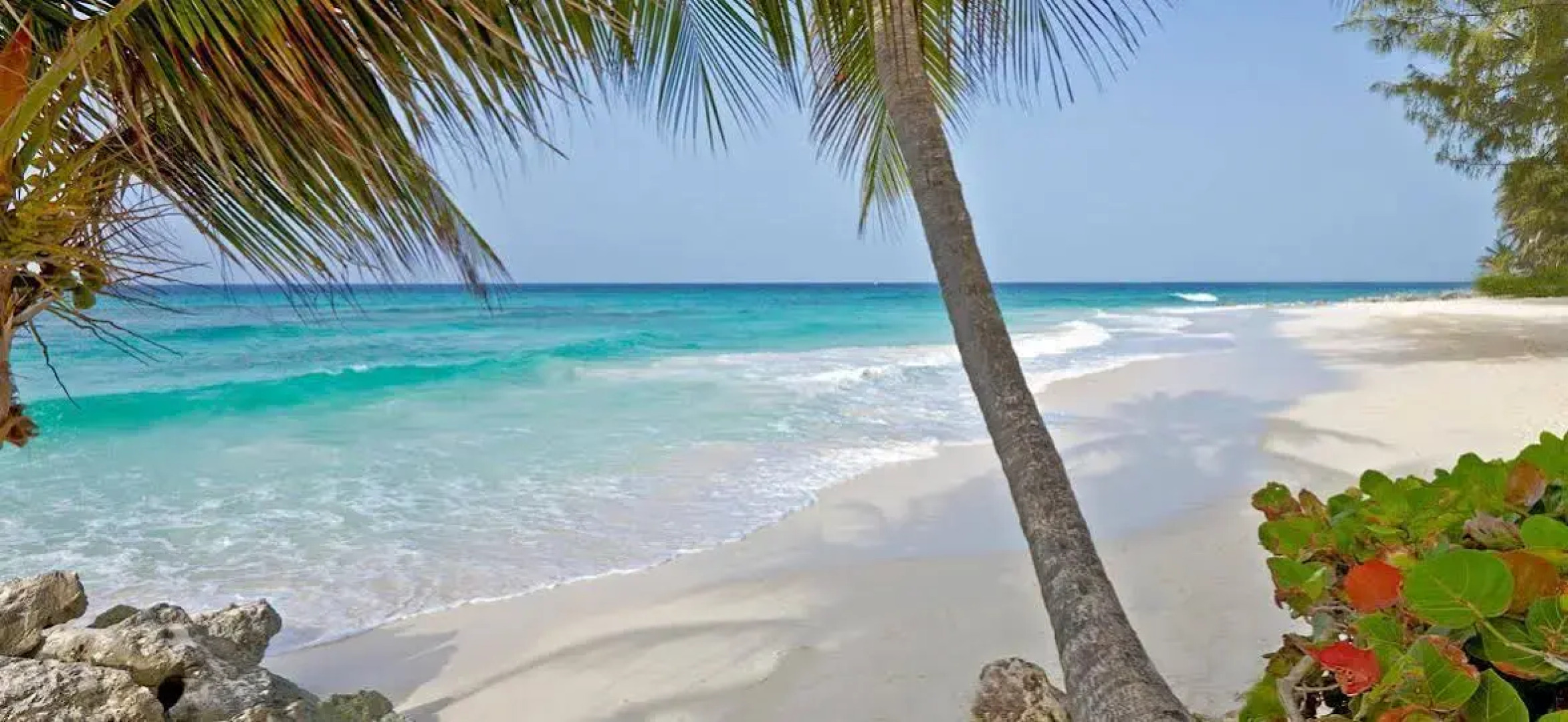 Turtle Beach, a Tribute Portfolio™ All Inclusive Hotel