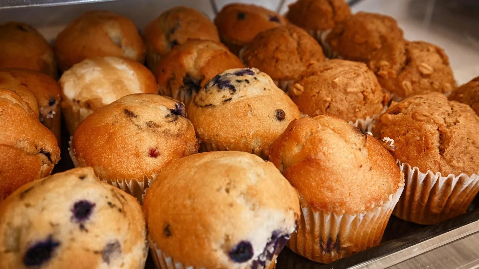 Best Western University Inn At Valparaiso